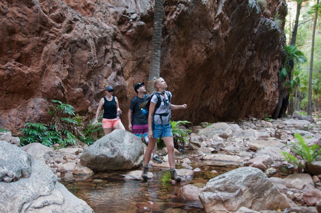 El Questro Gorge Hiking Trail