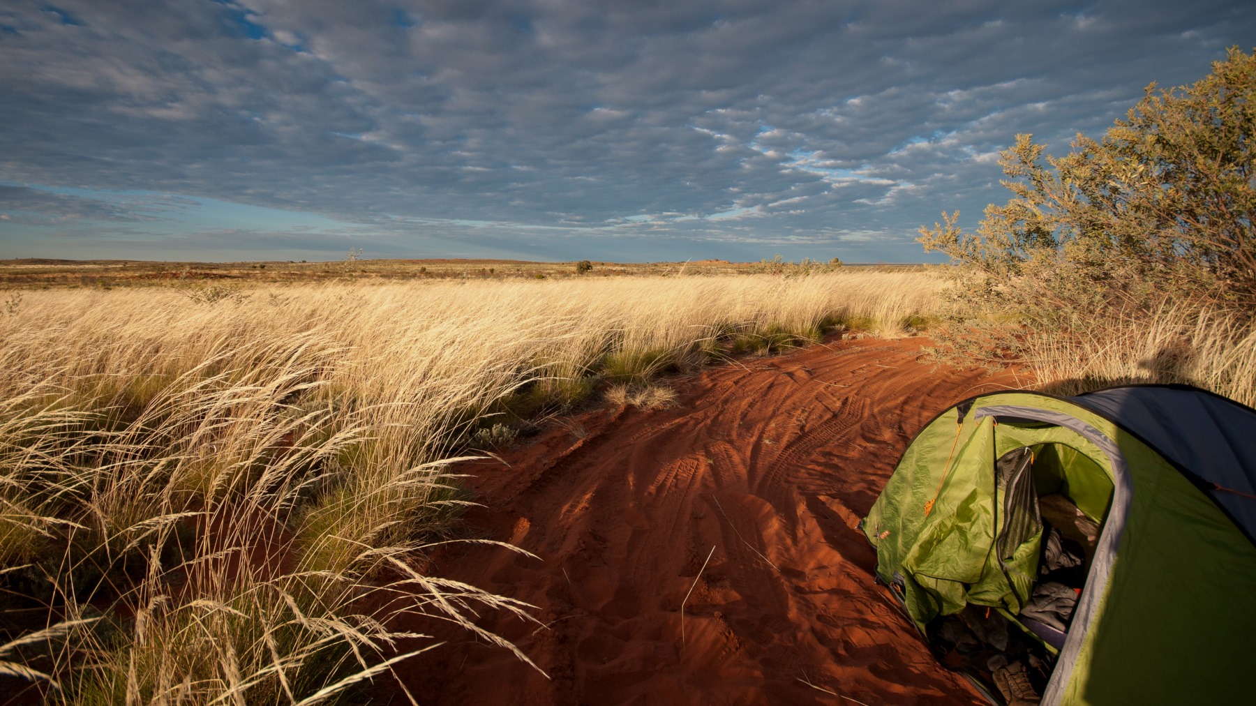 Camping Tanami Track