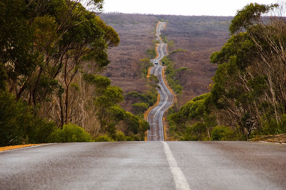 Flinders Chase Winding Road
