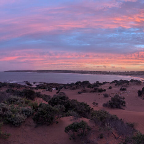 Benson Park – Family Farm Stay